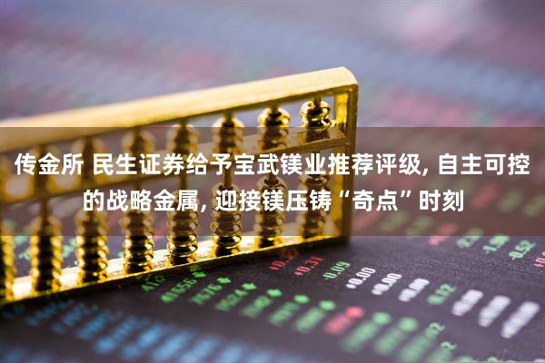 传金所 民生证券给予宝武镁业推荐评级, 自主可控的战略金属, 迎接镁压铸“奇点”时刻