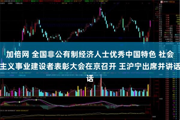 加倍网 全国非公有制经济人士优秀中国特色 社会主义事业建设者表彰大会在京召开 王沪宁出席并讲话