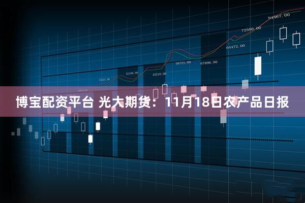 博宝配资平台 光大期货：11月18日农产品日报